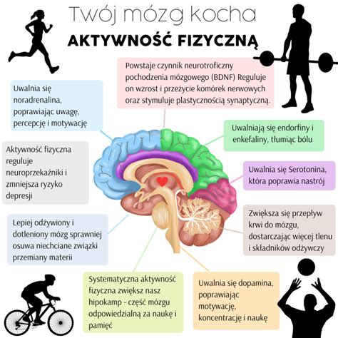 Infografika ilustrująca działanie systemu IC-1 Plus i jego wpływ na udźwig w zależności od konfiguracji przeciwwagi.