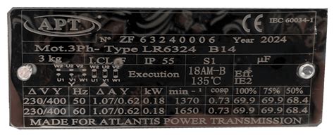 Tabliczka znamionowa silnika B&S Powerbuilt Series 3 125