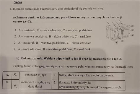 Ilustracja porównująca budowę ciężkiego młotka oraz noża typu Y w kosiarkach bijakowych
