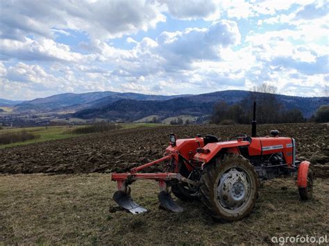 zdjęcie ciągnika MF 255