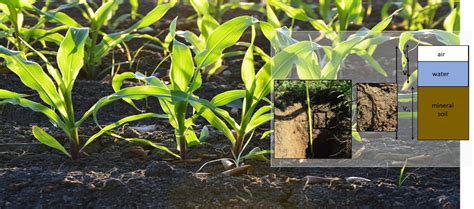 Zasady uprawy pożniwnej i jej wpływ na wilgotność gleby (infografika)