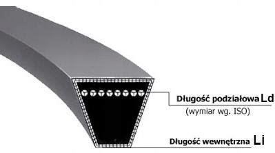 Schemat budowy paska klinowego z zaznaczonymi wymiarami Ld i Li