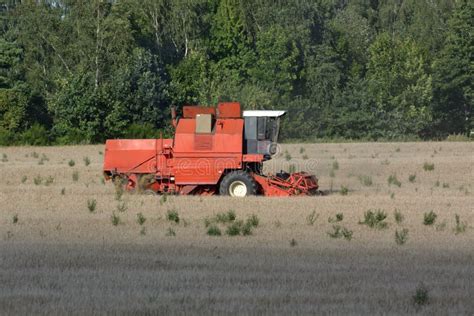 Thematic photo of Bizon combine in a field