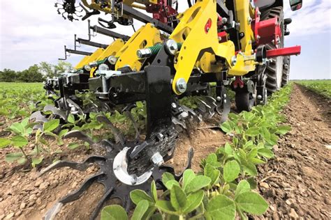 Pielnik z gwiazdami pielącymi - zbliżenie na gwiazdy usuwające chwasty