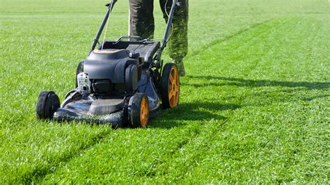 Thematic photo of a large garden being mowed by a person with a gasoline mower