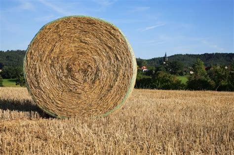 Porównanie metod przechowywania słomy: kostki w stodole vs. bele pod folią