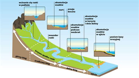 Animacja ilustrująca przepływ wody pod ciśnieniem przez zmieloną kawę w ekspresie ciśnieniowym.