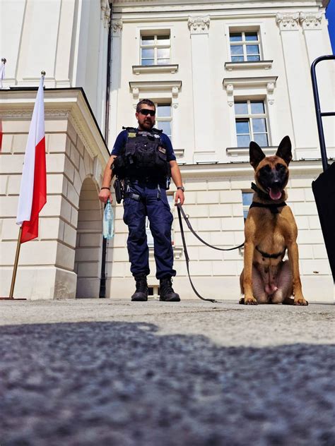 Zdjęcie policyjnego patrolu lub zatrzymanego ciągnika