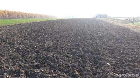 Pole uprawne po orce pługiem