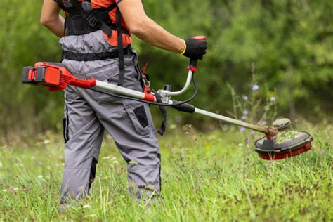 Thematic photo of a person operating a brush cutter in a garden.