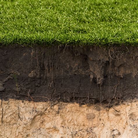 Infografika przedstawiająca przekrój gleby po użyciu agregatu uprawowego