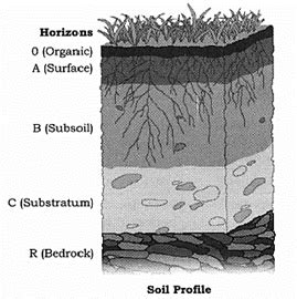 Diagram budowy świdra glebowego