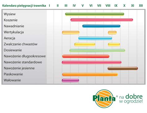infografika przedstawiająca roczny kalendarz pielęgnacji trawnika: od regeneracji po zimie, przez aerację i nawożenie, aż po regularne koszenie.