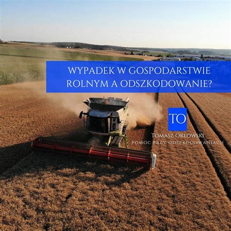 Zróżnicowane uprawy w nowoczesnym gospodarstwie rolnym
