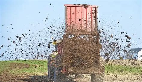Rozrzutnik obornika dwuosiowy podczas pracy na polu