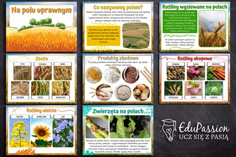 infografika przedstawiająca różne zastosowania glebogryzarki na polu uprawnym