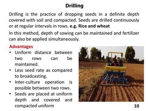 Infographic of the seed drill operation principle