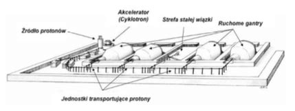 schematyczny rysunek rozłożenia nart podczas upadku Simona Ammanna