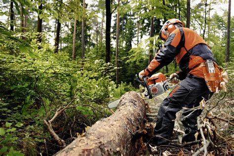 Profesjonalna pilarka spalinowa w pracy