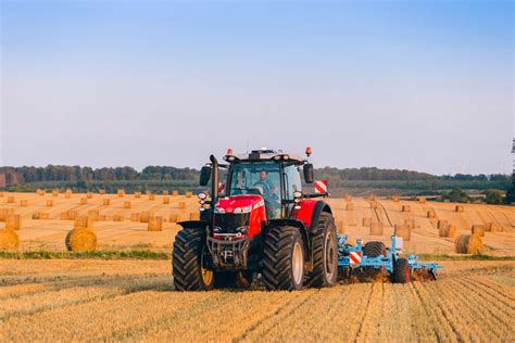 historyczny traktor Massey Ferguson na polu