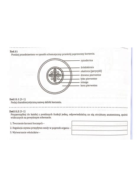 Schematyczny przekrój siewnika mechanicznego