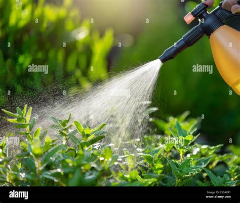 Thematic photo of a person using a handheld sprayer in a garden or workshop, emphasizing ease of use and precision.