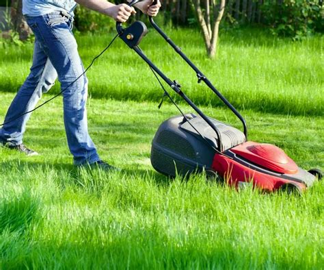 osoba kosząca trawnik kosiarką elektryczną